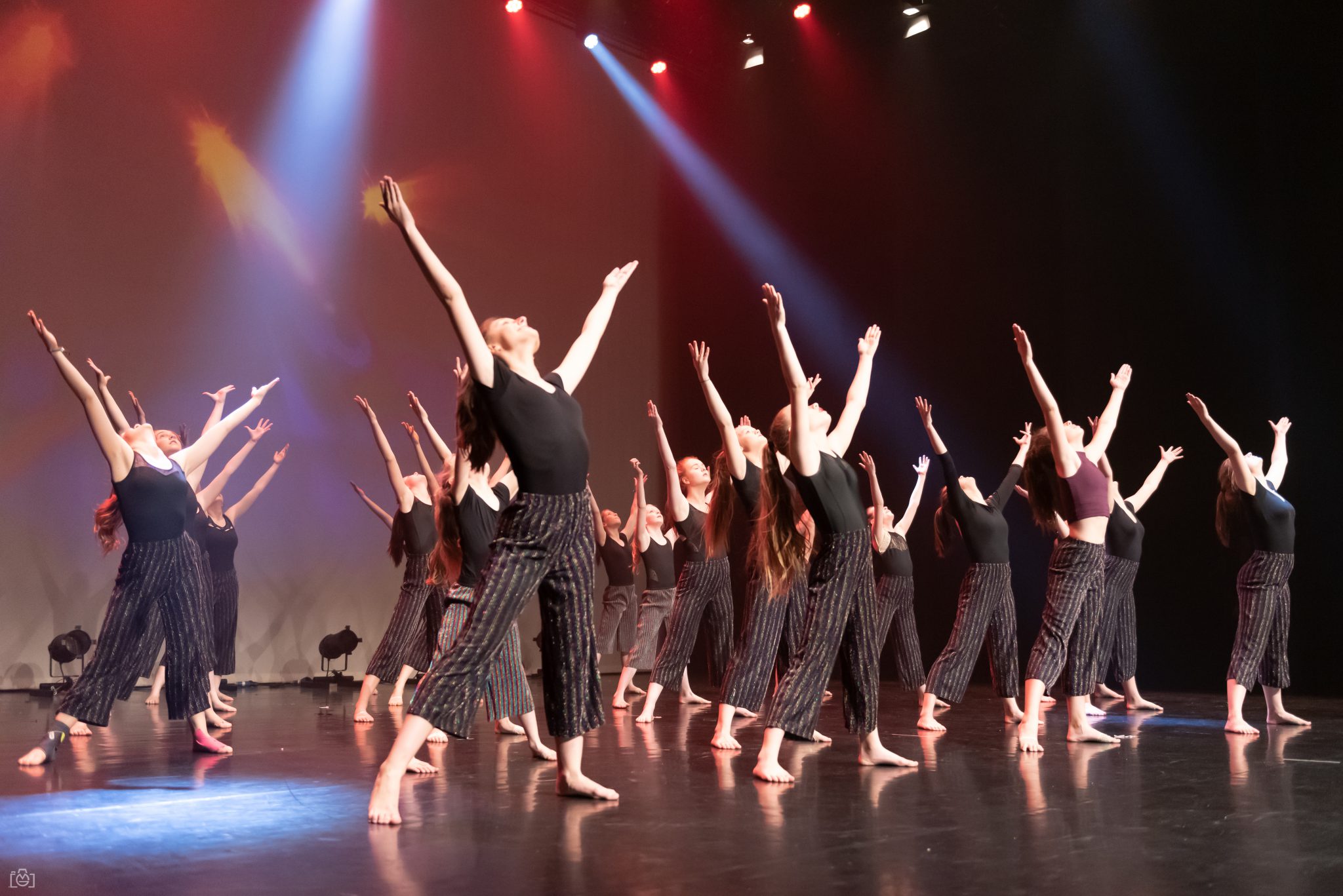 Nieuws MAKE YOUR MOVE DANCE COMPANY